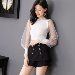 洋湖軒榭2019精品毛衫時尚新款女裝圓領透視燈籠袖修身顯瘦針織打底衫圖片大全 郵樂官方網(wǎng)站