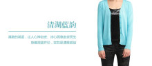 供應(yīng)供應(yīng) 2012新款糖果色休閑長袖女式針織衫開衫 1081_服裝服飾_世界工廠網(wǎng)中國產(chǎn)品信息庫